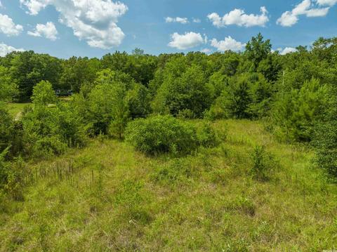 209 Comet St, Mountain Pine, AR 71956 photo 6