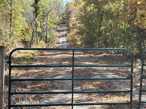 8094 Young Rd, Glencoe, AR 72539 photo 2