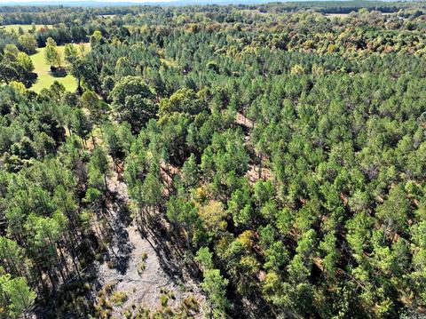 322 Polk Road 25, Cove, AR 71937 photo 37