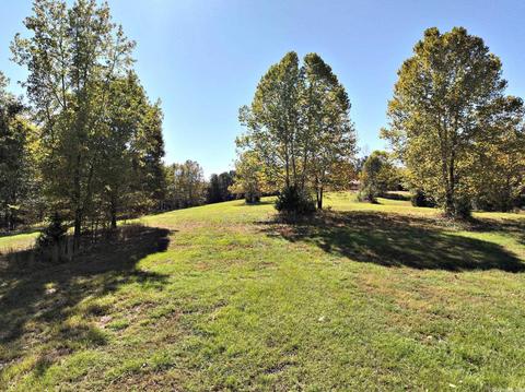 322 Polk Road 25, Cove, AR 71937 photo 38