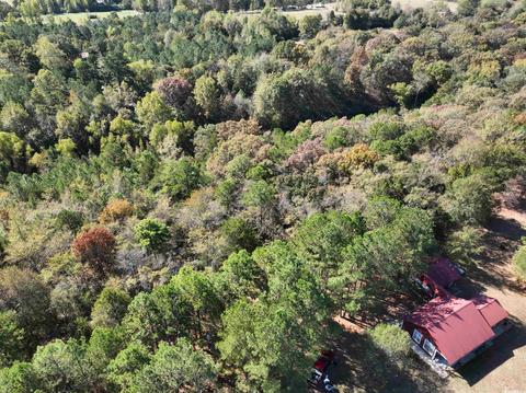 322 Polk Road 25, Cove, AR 71937 photo 29