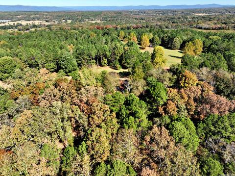 322 Polk Road 25, Cove, AR 71937 photo 39