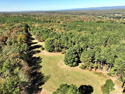 322 Polk Road 25, Cove, AR 71937 photo 42