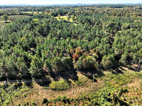 322 Polk Road 25, Cove, AR 71937 photo 36