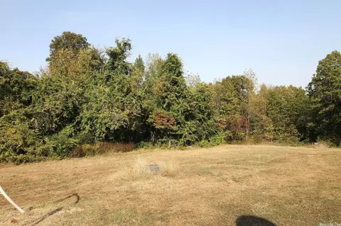 527 Greene Rd 464, Marmaduke, AR 72443 photo 7