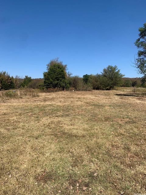 164 Wadley, Romance, AR 72136 photo 18