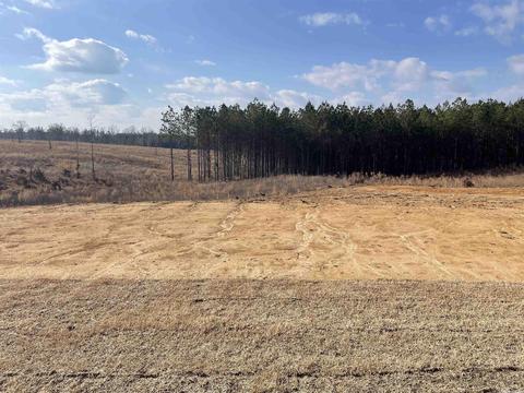 8291 Ore Trl, Bauxite, AR 72011 photo 37
