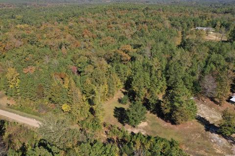153 Chasity Ct, Amity, AR 71921 photo 10