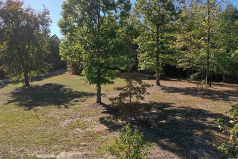 153 Chasity Ct, Amity, AR 71921 photo 5