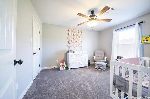 55 Ten Point Ln, Ward, AR 72176 photo 43