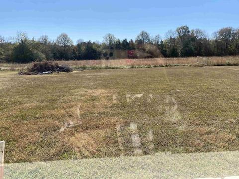95 E Main St, Greenbrier, AR 72058 photo 24