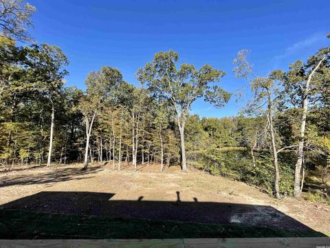 13032 Avilla Hls, Alexander, AR 72002 photo 35