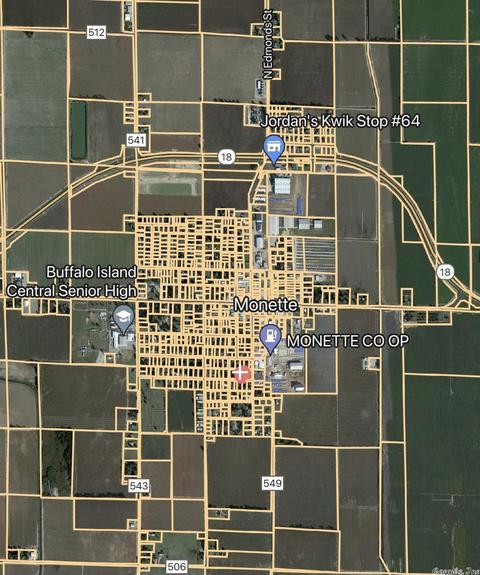 202 Hogan Ave, Monette, AR 72447 photo 4