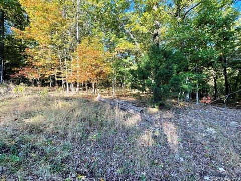 603 W Tongie Pt, Horseshoe Bend, AR 72512