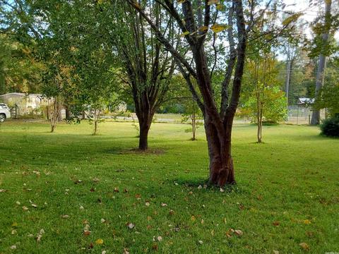 1422 Stillman Ln, Alexander, AR 72002 photo 22