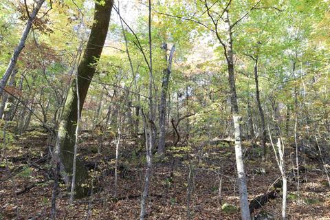 863 Crow Dr, Marshall, AR 72650 photo 37