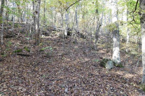 863 Crow Dr, Marshall, AR 72650 photo 38