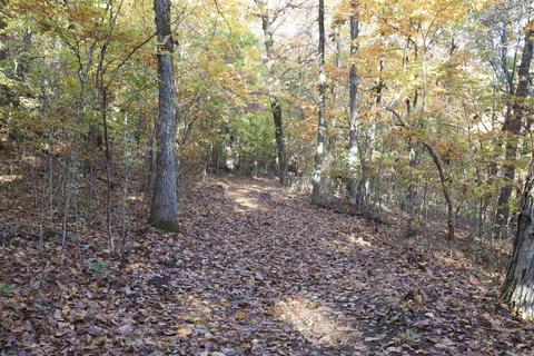 863 Crow Dr, Marshall, AR 72650 photo 2