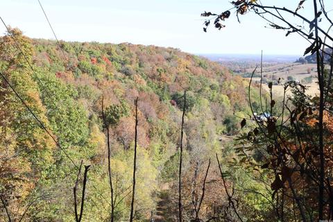 863 Crow Dr, Marshall, AR 72650 photo 24