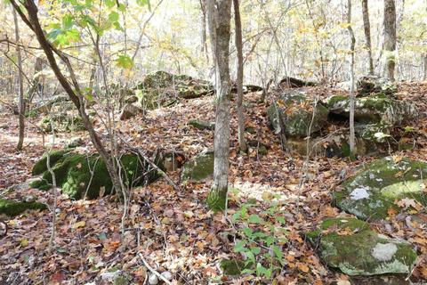 863 Crow Dr, Marshall, AR 72650 photo 30