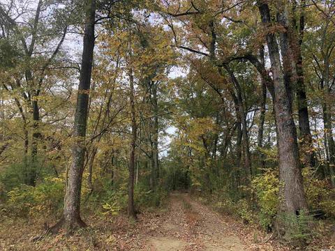 9815 Hwy 16 East Hwy, Shirley, AR 72153 photo 20