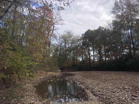 9815 Hwy 16 East Hwy, Shirley, AR 72153 photo 19