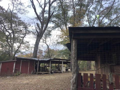 9815 Hwy 16 East Hwy, Shirley, AR 72153 photo 25