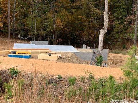8515 Buck Rd, Alexander, AR 72002 photo 1