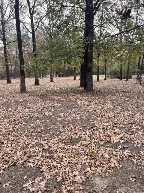 142 Mill Pond Rd, Conway, AR 72034 photo 5