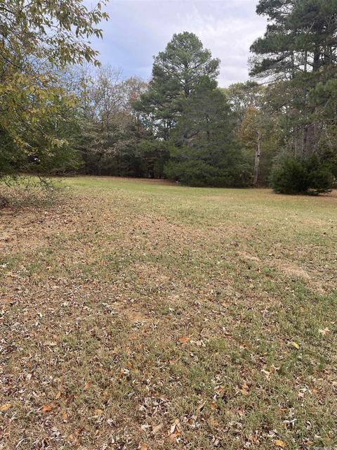 142 Mill Pond Rd, Conway, AR 72034 photo 7