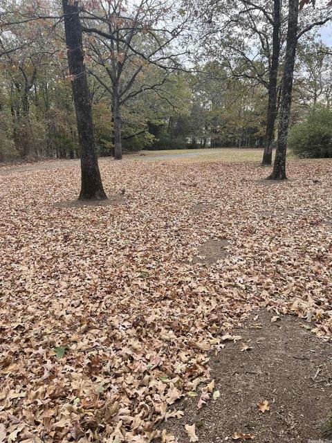 142 Mill Pond Rd, Conway, AR 72034 photo 4