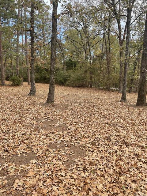 142 Mill Pond Rd, Conway, AR 72034 photo 3