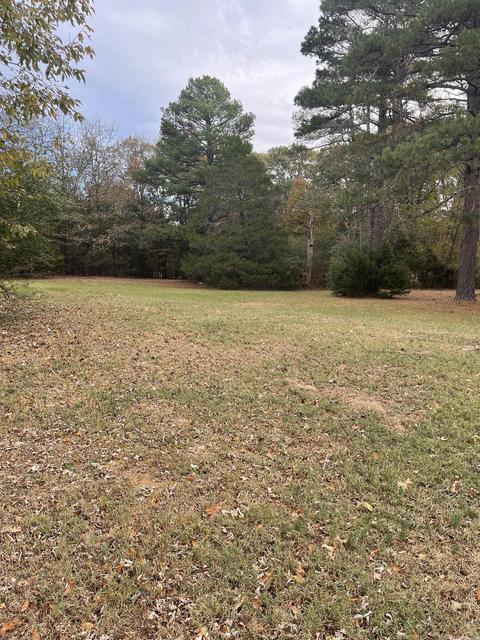 142 Mill Pond Rd, Conway, AR 72034 photo 8