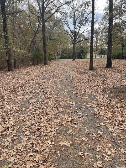 142 Mill Pond Rd, Conway, AR 72034 photo 6