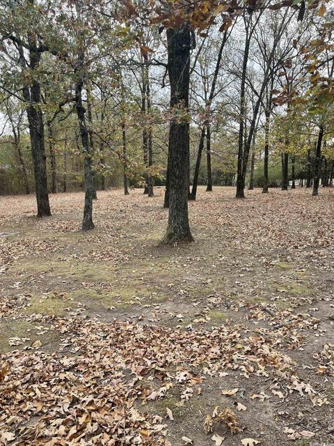 142 Mill Pond Rd, Conway, AR 72034 photo 11