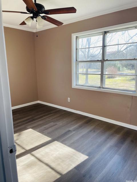 461 Haley St, Melbourne, AR 72556 photo 12