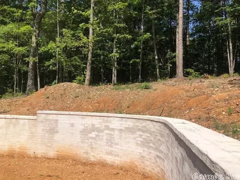 8523 Buck, Alexander, AR 72002 photo 4