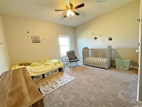 169 Hudson Br, Austin, AR 72007 photo 24