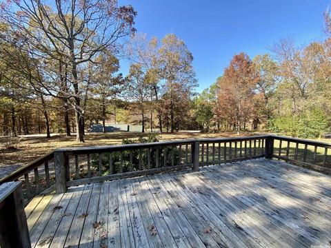 166 W Blue Cv, Mountain View, AR 72560 photo 19