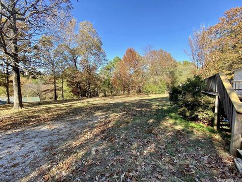 166 W Blue Cv, Mountain View, AR 72560 photo 20