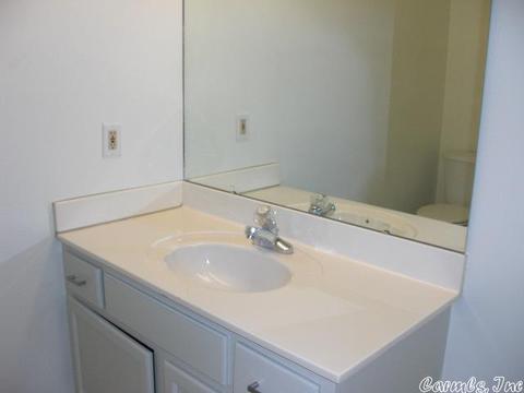 2585 Morse Dr, Conway, AR 72032 photo 17