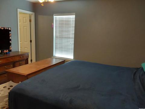 13217 Meadowview Dr, Alexander, AR 72002 photo 3