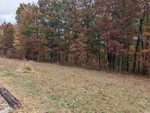 185 Sparrow St, Marmaduke, AR 72443 photo 18