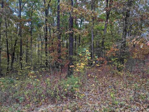 185 Sparrow St, Marmaduke, AR 72443 photo 19