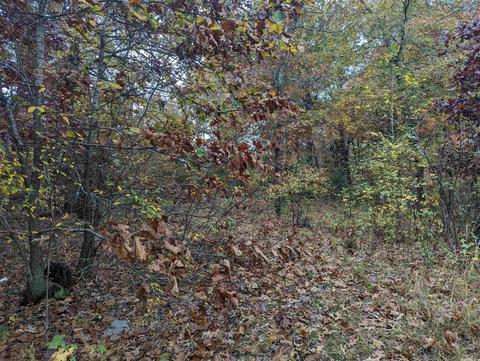 185 Sparrow St, Marmaduke, AR 72443 photo 20