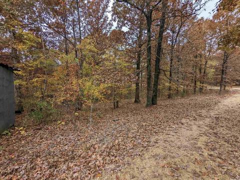 185 Sparrow St, Marmaduke, AR 72443 photo 23