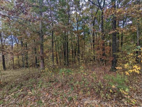 185 Sparrow St, Marmaduke, AR 72443 photo 21