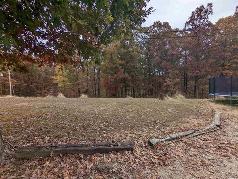 185 Sparrow St, Marmaduke, AR 72443 photo 22