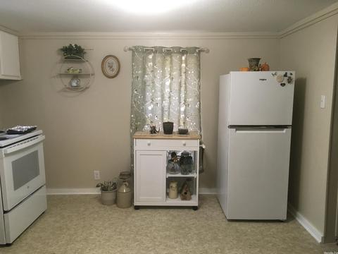 111 W Boundary, Mena, AR 71953 photo 9