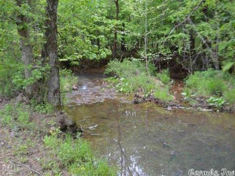 175 Lawrence 128, Ravenden, AR 72459 photo 23